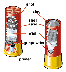 shotgun shells types